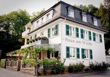 Pension "Haus Am Walde" Brodenbach, Mosel Екстериор снимка