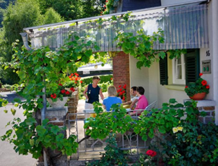 Pension "Haus Am Walde" Brodenbach, Mosel Екстериор снимка