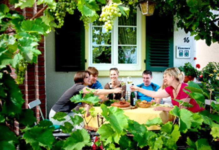 Pension "Haus Am Walde" Brodenbach, Mosel Екстериор снимка