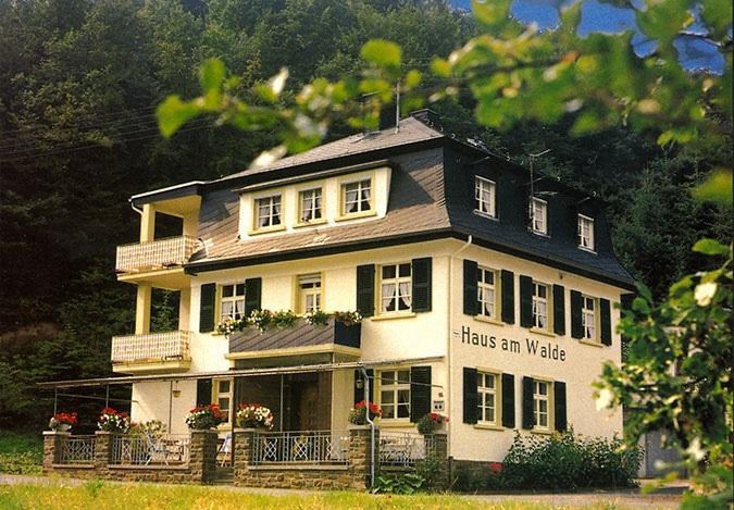Pension "Haus Am Walde" Brodenbach, Mosel Екстериор снимка