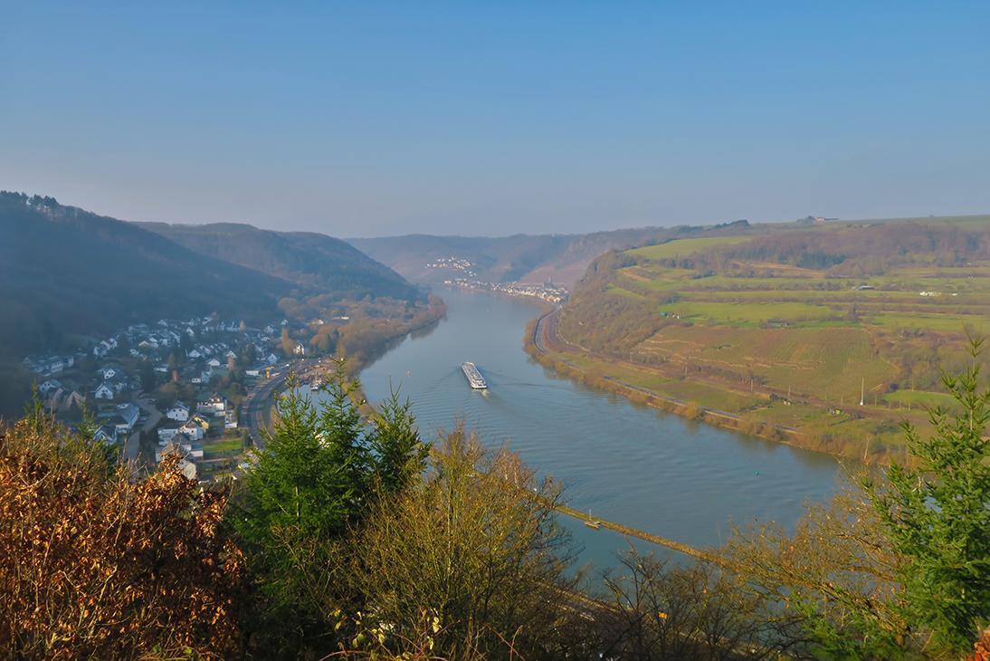 Pension "Haus Am Walde" Brodenbach, Mosel Екстериор снимка