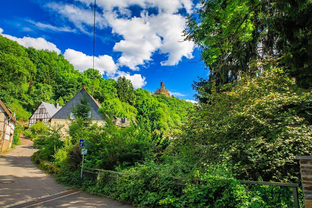 Pension "Haus Am Walde" Brodenbach, Mosel Екстериор снимка
