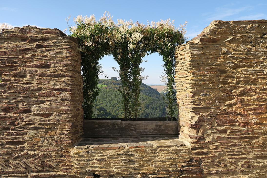 Pension "Haus Am Walde" Brodenbach, Mosel Екстериор снимка