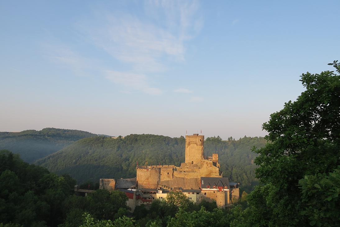 Pension "Haus Am Walde" Brodenbach, Mosel Екстериор снимка