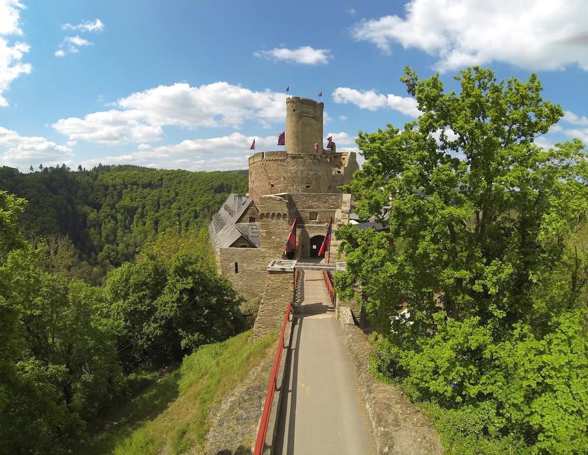 Pension "Haus Am Walde" Brodenbach, Mosel Екстериор снимка
